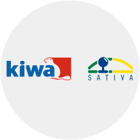 Kiwa Sativa