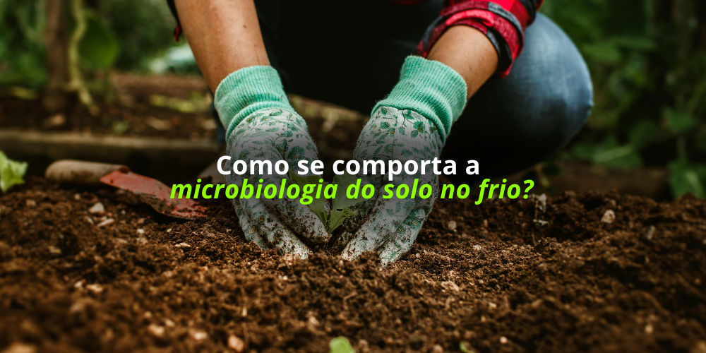 Como se comporta a microbiologia do solo no frio?