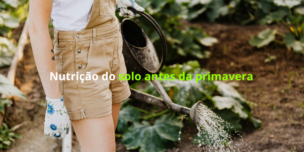 Nutrição do solo antes da primavera