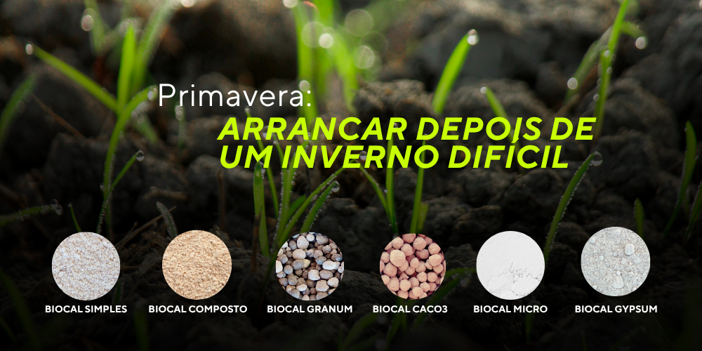 arrancar depois de um inverno difícil
